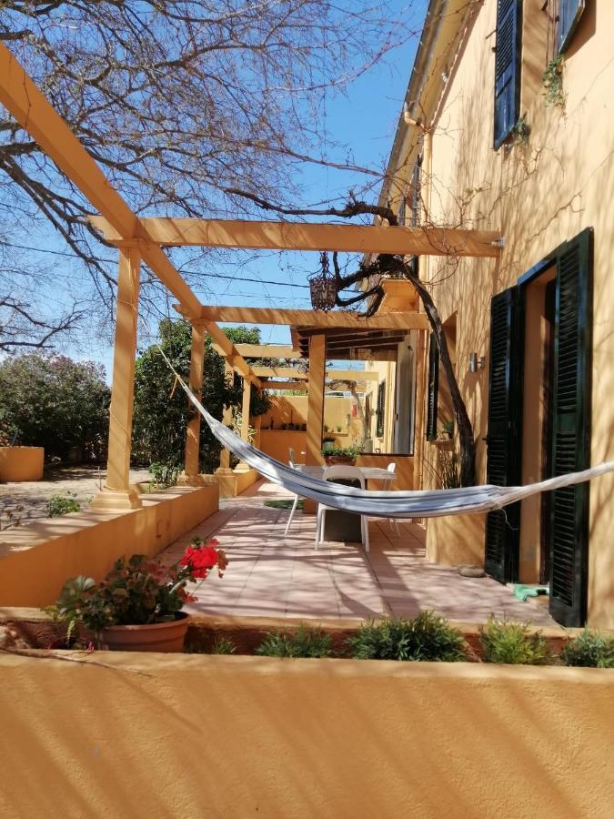 Villa Nice Mallorca Palma Extérieur photo