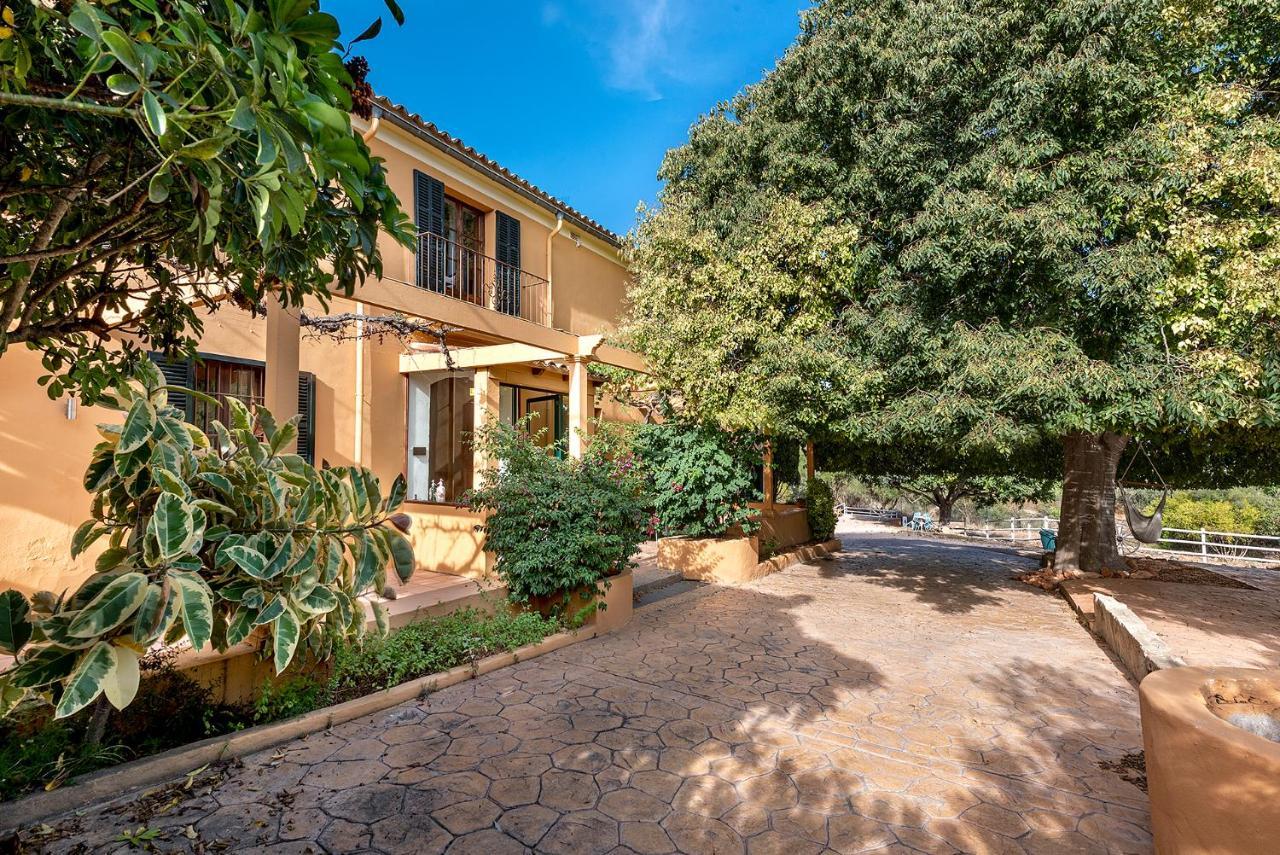 Villa Nice Mallorca Palma Extérieur photo