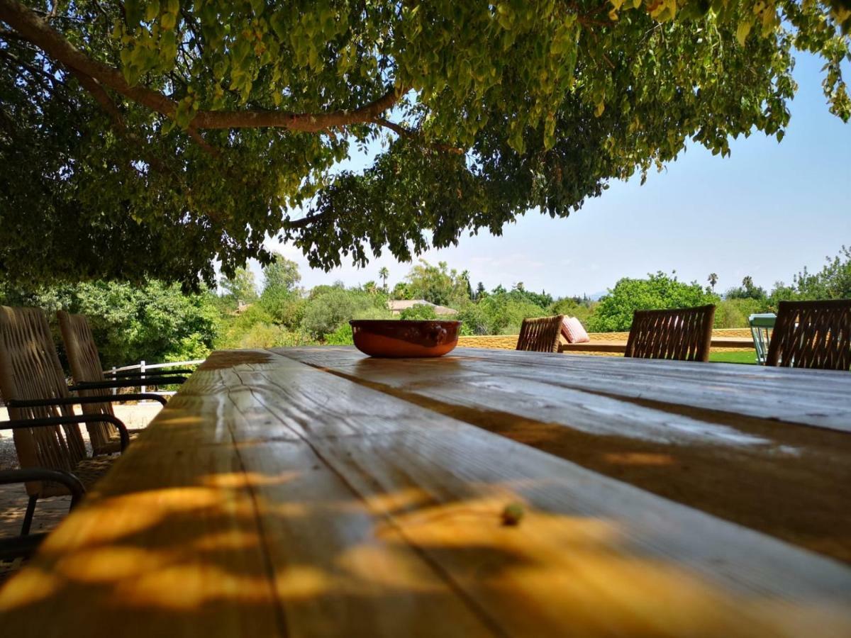 Villa Nice Mallorca Palma Extérieur photo